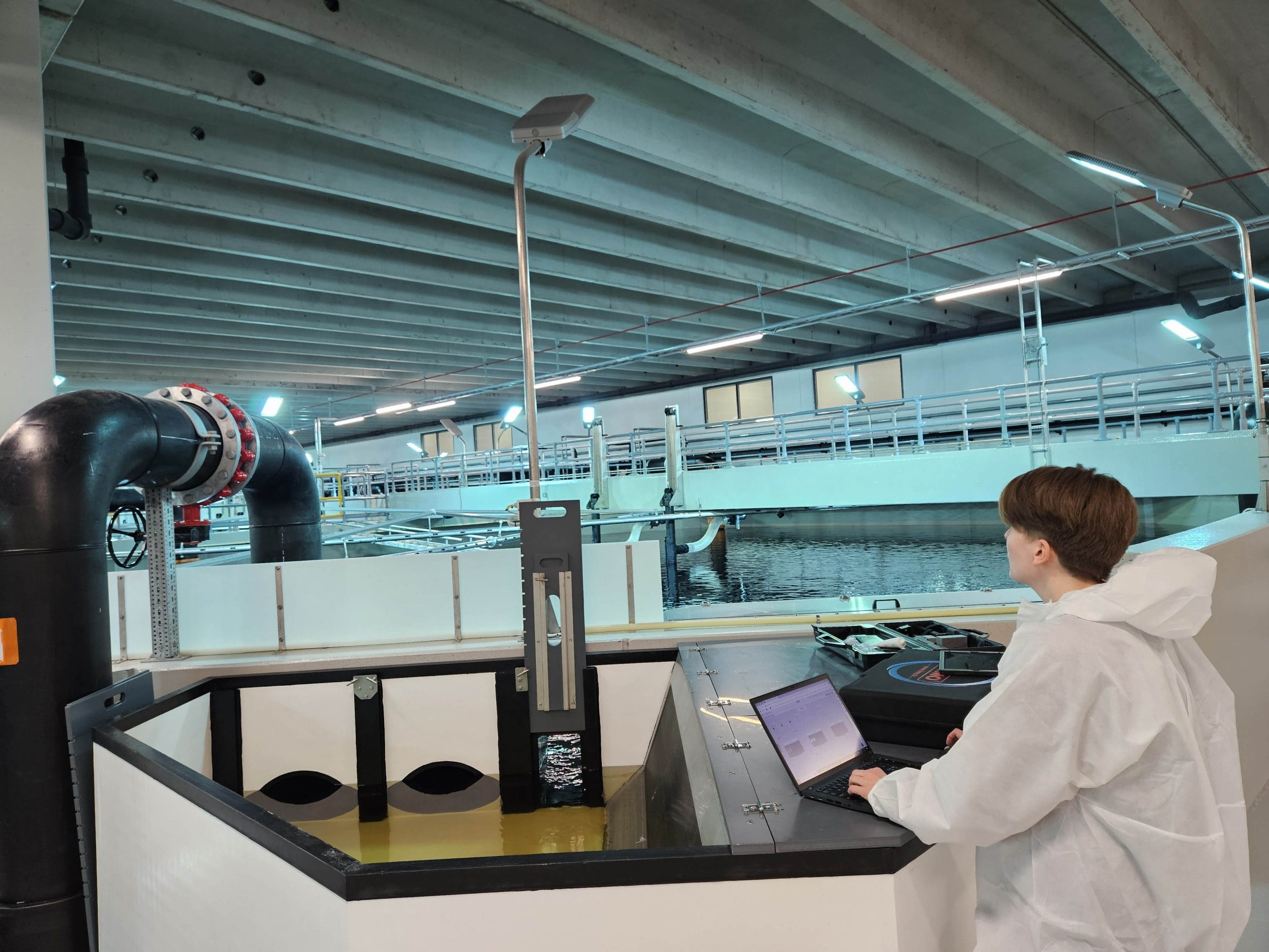 AnnK ristin Ringereide Process fish welfare