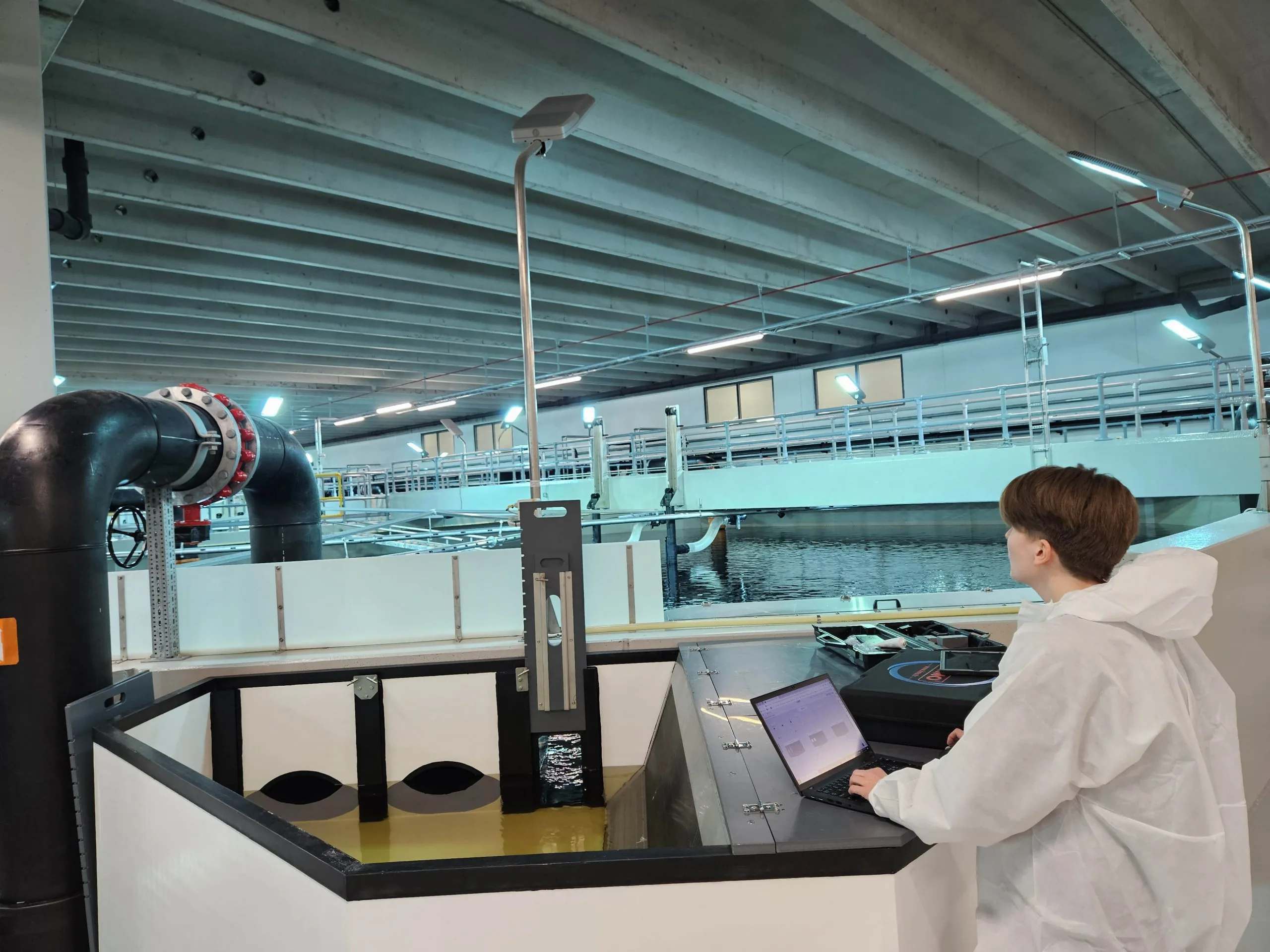 AnnK ristin Ringereide Process fish welfare