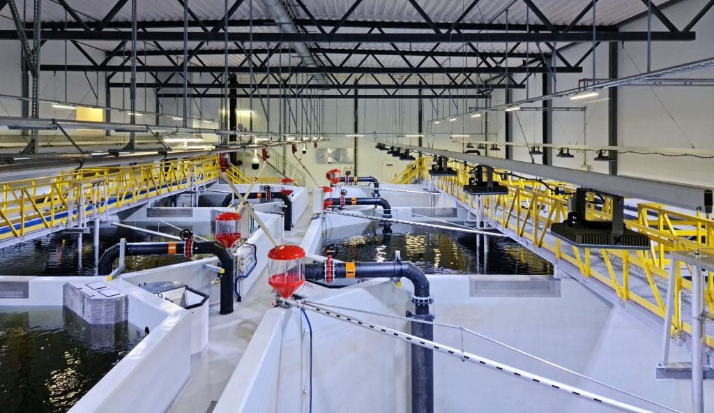 Salten Smolt