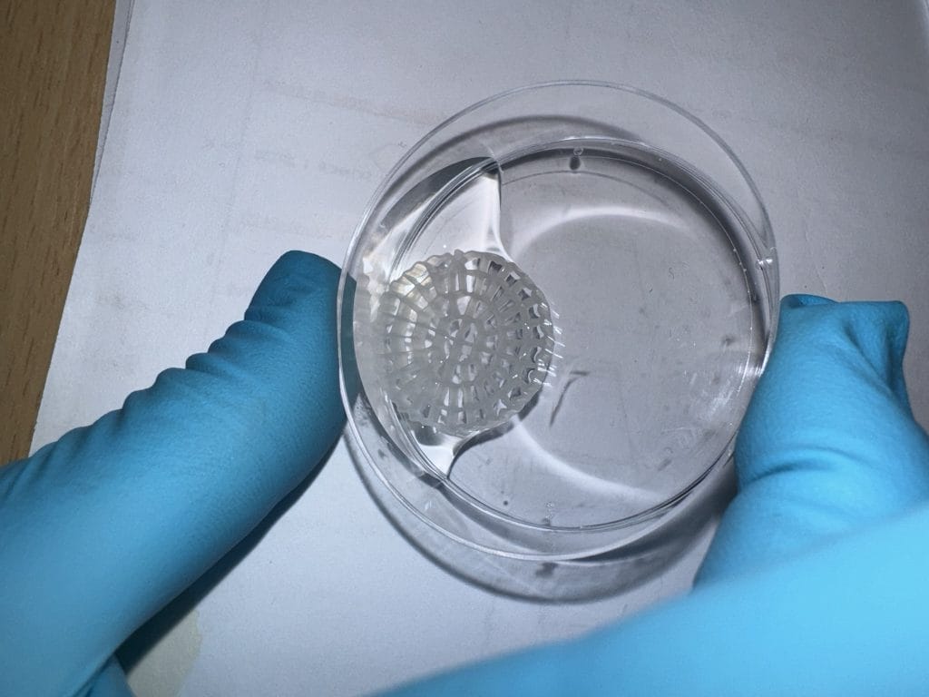 bicrobiologi_RAS-mbbr