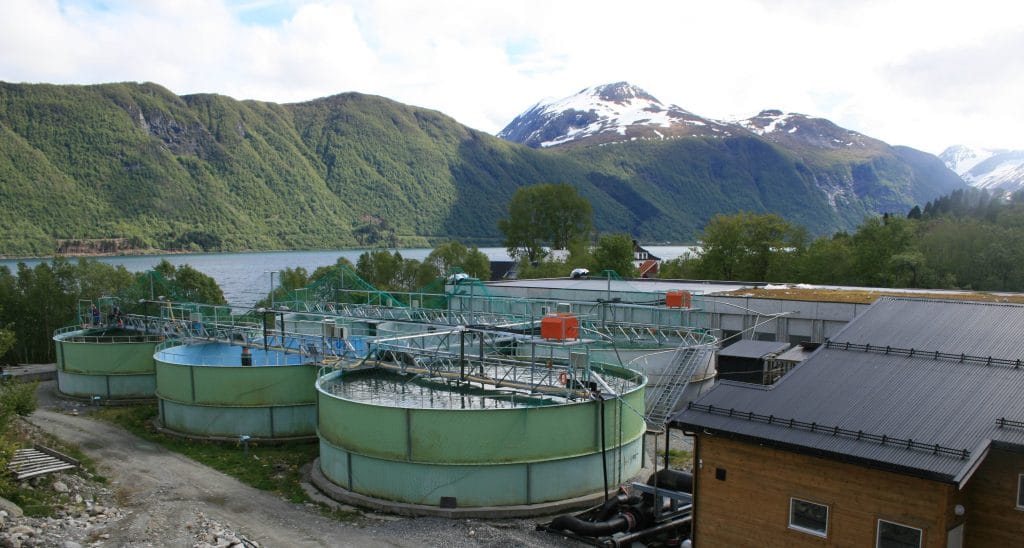 MOwi Dalsfjord