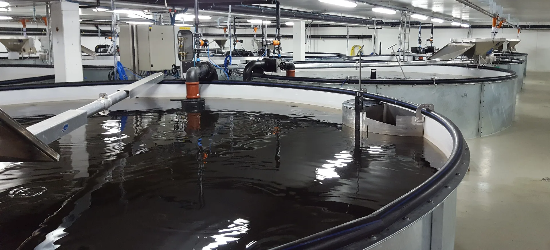 Landbased aquaculture fish tanks at Helgeland facility