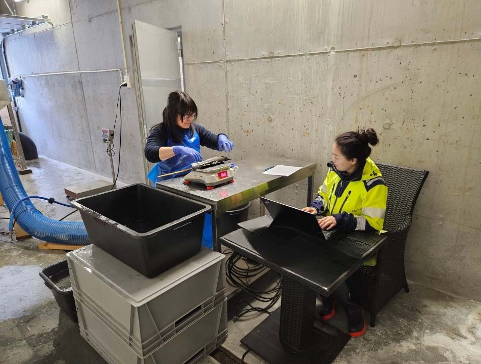 Makoto and Sumeng Fish welfare and process