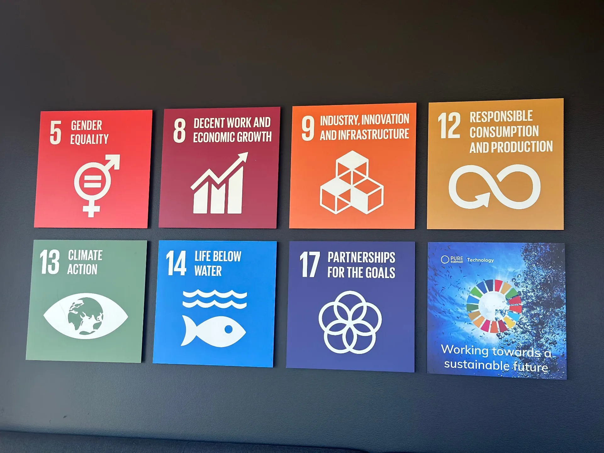 UN Sustainable Development Goals relevant to Pure Salmon Technology