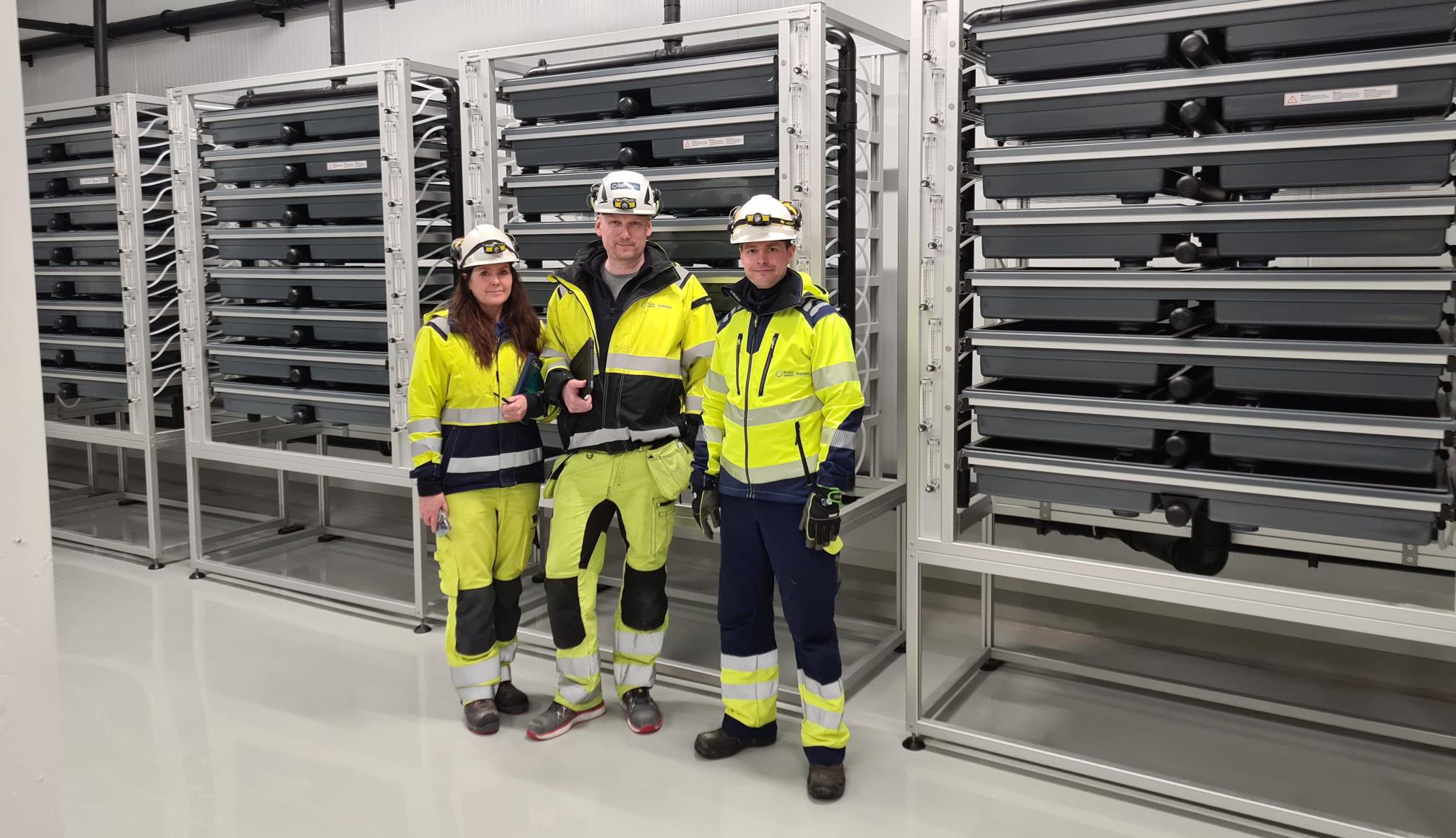 Pure Salmon Technology-teamet på anlegg